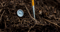 Ein Thermometer liegt in Kompostmaterial zur Temperaturmessung.