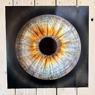 Collagenbild 3