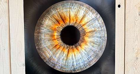 Makrofoto Iris