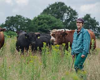 Ein Landwirt steht mit Kühen in einem Feld.