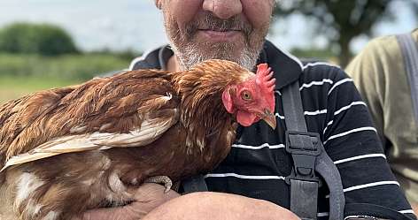 Ein älterer Mann hält ein Huhn in den Armen und lächelt.