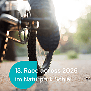 Nahaufnahme eines Mountainbike-Reifens auf einem Weg im Sonnenlicht