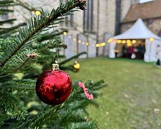 Roter Weihnachtsbaumkugel hängt an einem Baum, mit einem Zelt im Hintergrund.